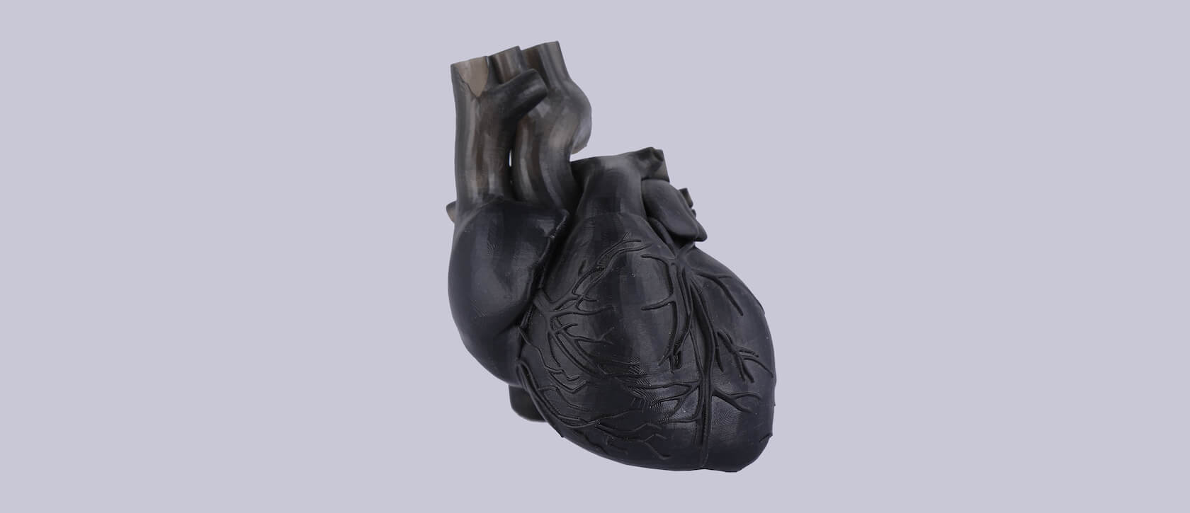 3D Printer for Human Organs