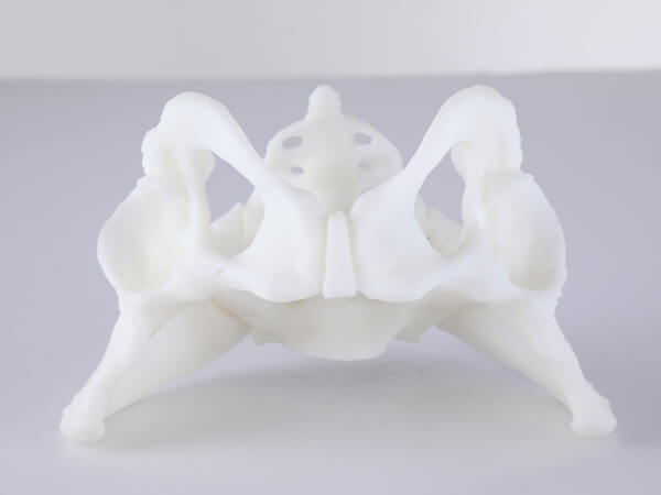 3D printers work for Medical